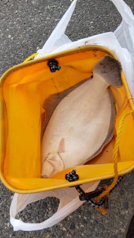 釣りに行くなら持ってけチョイヘッド！