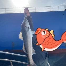 東京湾にて70upシーバス等/ジギング