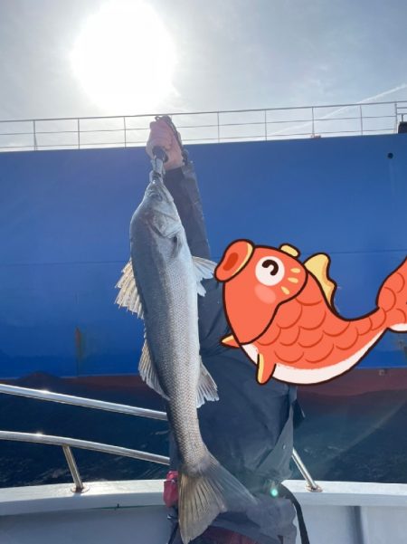 東京湾にて70upシーバス等/ジギング