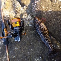 気温は高いがまだ水温が低く活性が低いかな！…