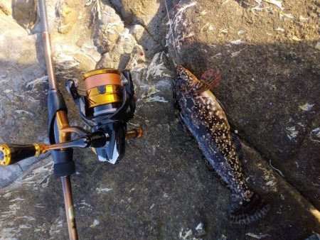 気温は高いがまだ水温が低く活性が低いかな！…