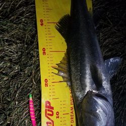 我慢した甲斐があった