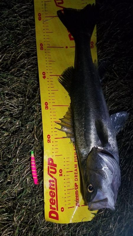 我慢した甲斐があった