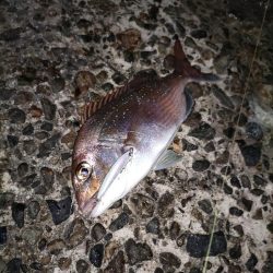 嬉しいゲストが・・・