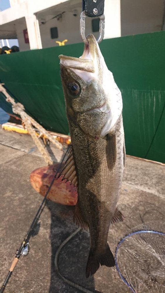 2022停泊船ゲーム1