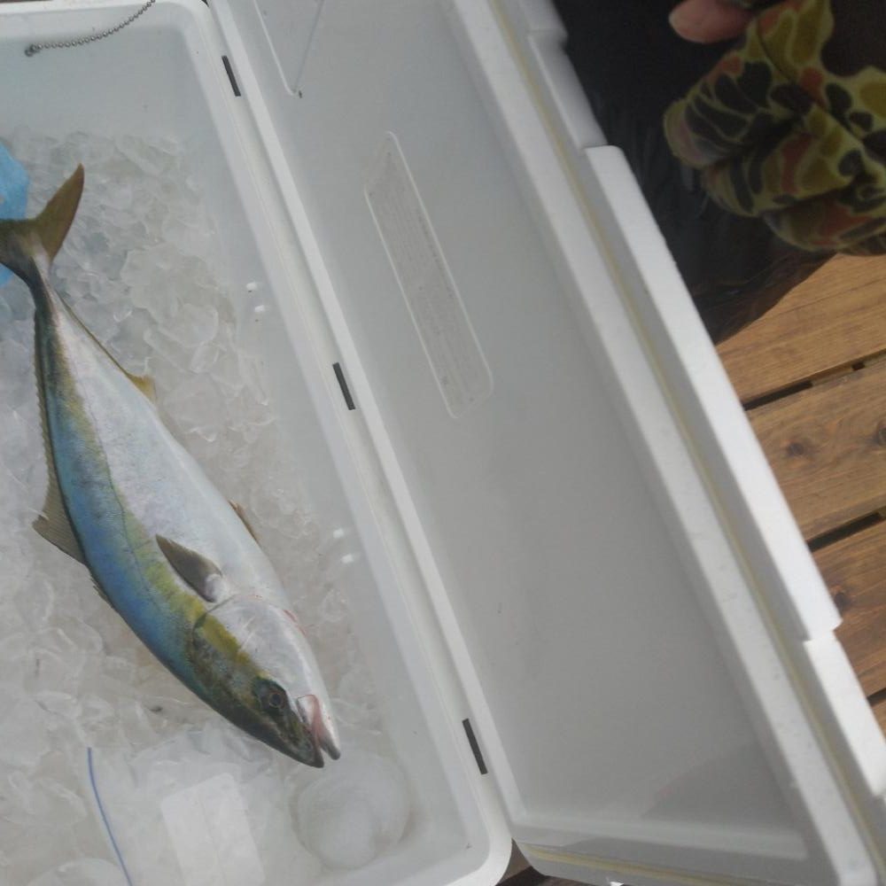 志摩沖 近海ジギング