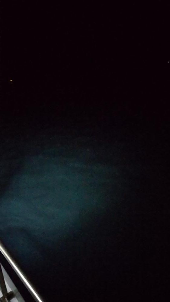 最後の最後に！