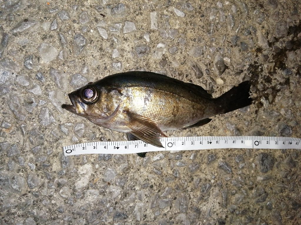 外道もちらほら