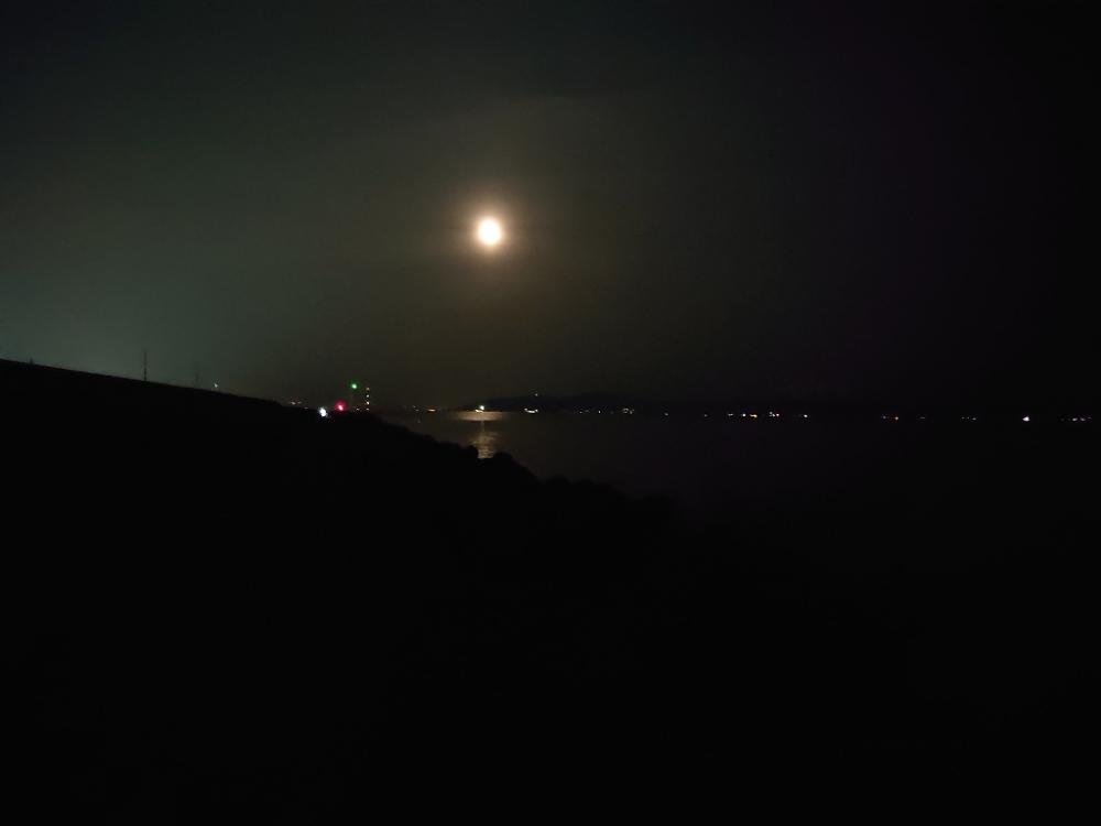 平日メバリング