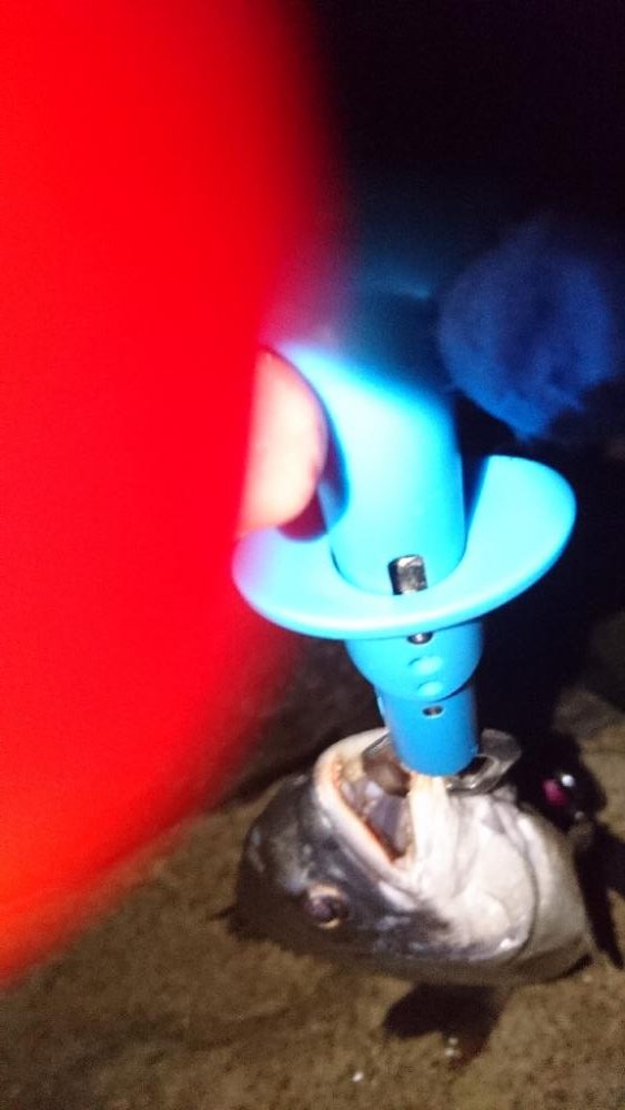 今日は時間がかかった