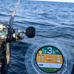 根魚五目釣り！