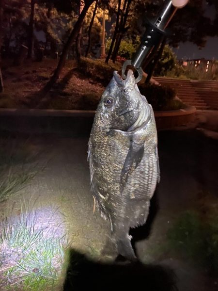 ヘチってきました