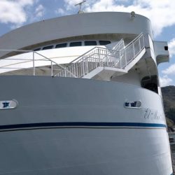 アジはいなかったけど