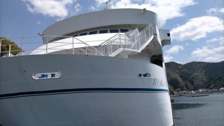 アジはいなかったけど