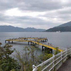 今季のオープン日に行きました