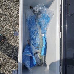 ショアジギング