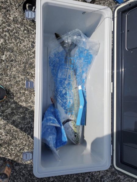 ショアジギング