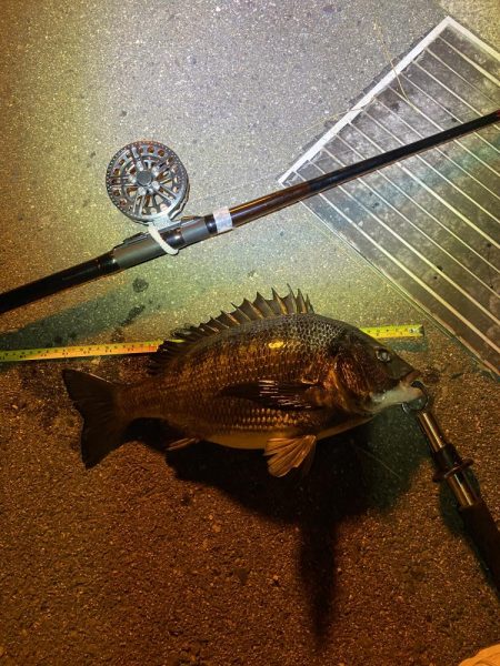 ヘチってきました