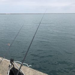 ギガアジを求めて…