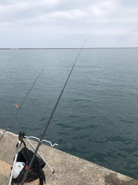 ギガアジを求めて…