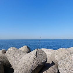 プチsalt water game