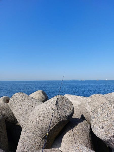 プチsalt water game