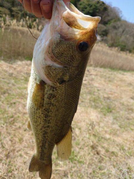 諦めかけたその時！