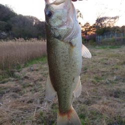 小バス のち グッドサイズ