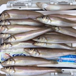 気持ち良く投げて、魚も釣れて満足でした