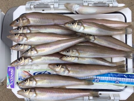 気持ち良く投げて、魚も釣れて満足でした