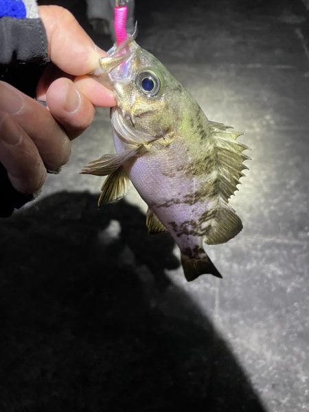 金太郎飴バリング