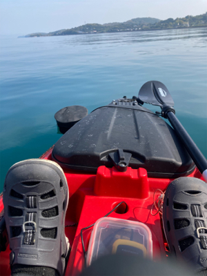 今年初のカヤックフィッシュ