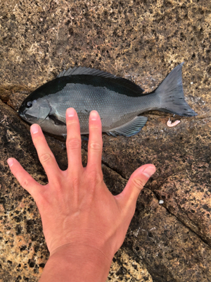 パラパラポツポツ