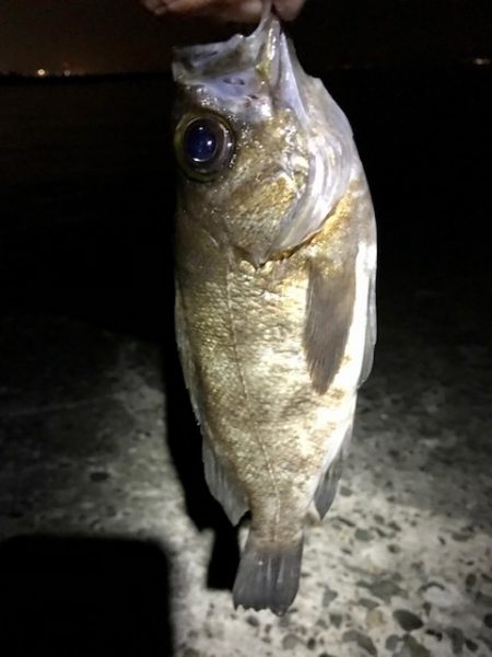 フロートメバリング