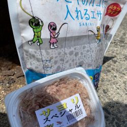 砂上げ場のサヨリ釣り