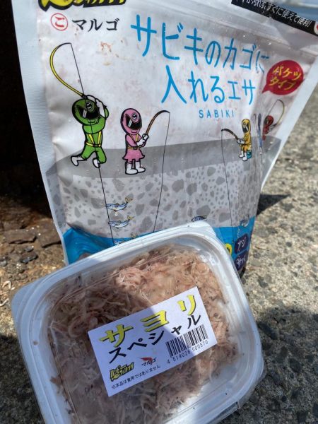 砂上げ場のサヨリ釣り