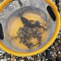 鳥飼漁港にて穴釣り!まだ寒いが、果たして釣れるのだろうか?