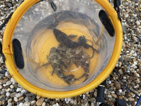 鳥飼漁港にて穴釣り!まだ寒いが、果たして釣れるのだろうか?