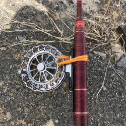 ヘチ釣りでキビレGET