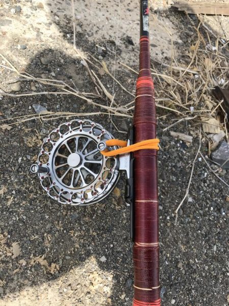 ヘチ釣りでキビレGET