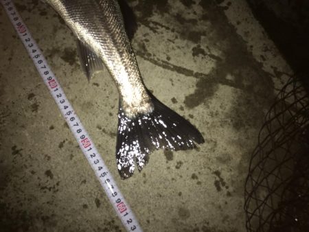 好調なスタート^ ^