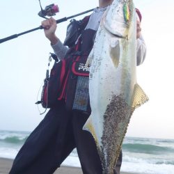 春の遠州灘でマキマキ大活躍！