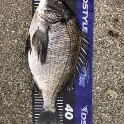 イチノ兄弟、釣果!