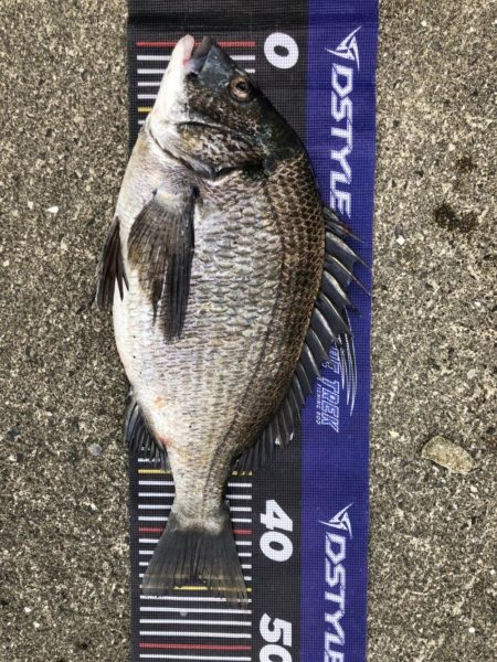 イチノ兄弟、釣果！