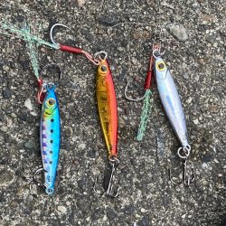 ライトジギング