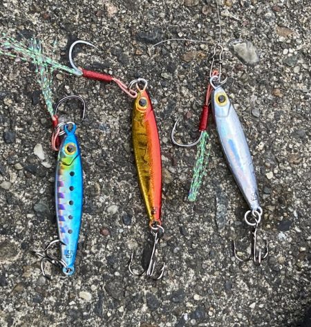 ライトジギング