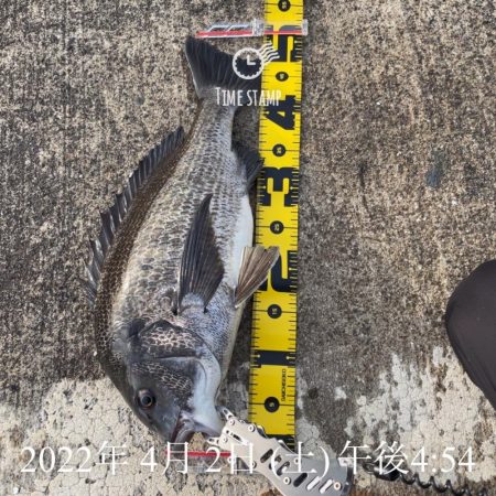 南港ヘチ釣り　午後爆