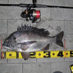 ポツポツと釣れる感じ…