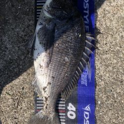 イチノ兄弟、釣果!