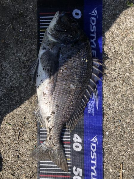 イチノ兄弟、釣果!